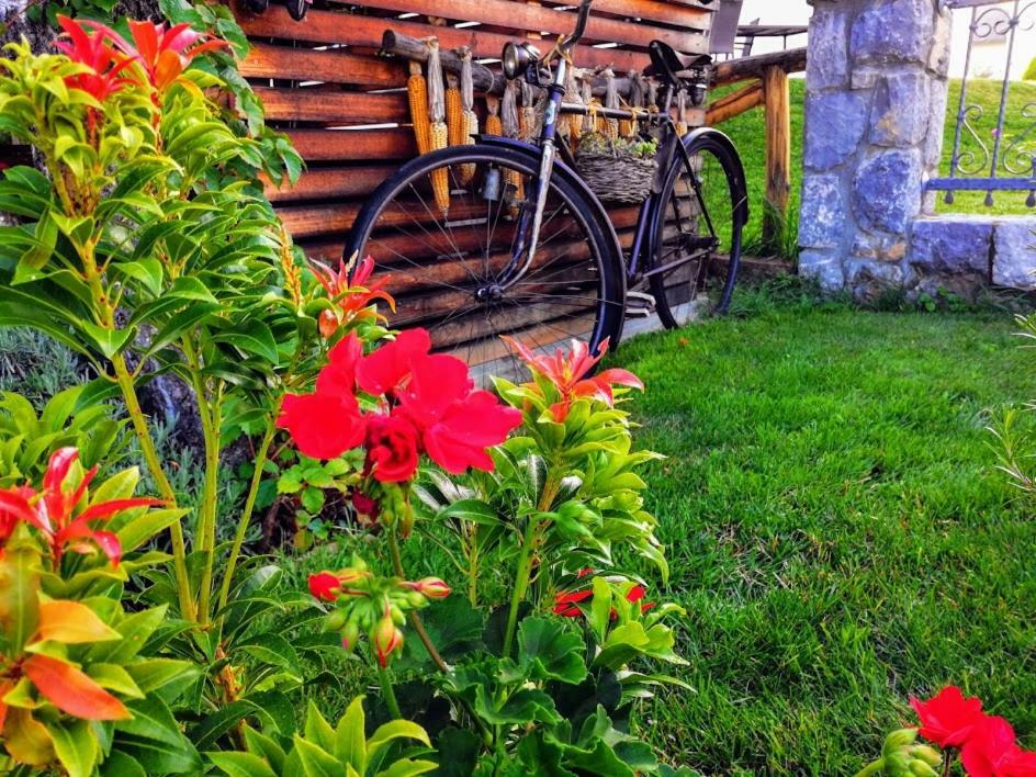 Barn House Mm Daire Bled Dış mekan fotoğraf